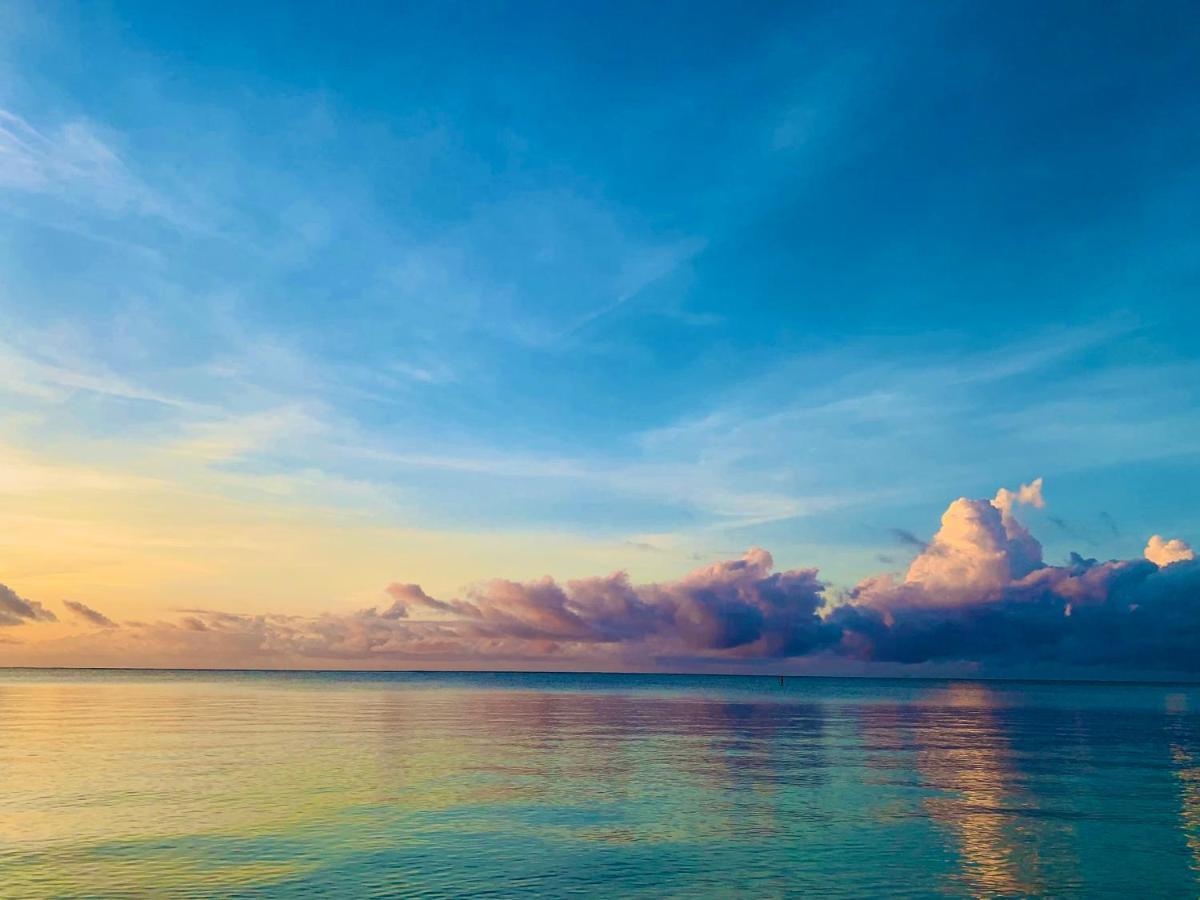 A Rocha Eco-Lodge & Conservation Centre Watamu Dış mekan fotoğraf