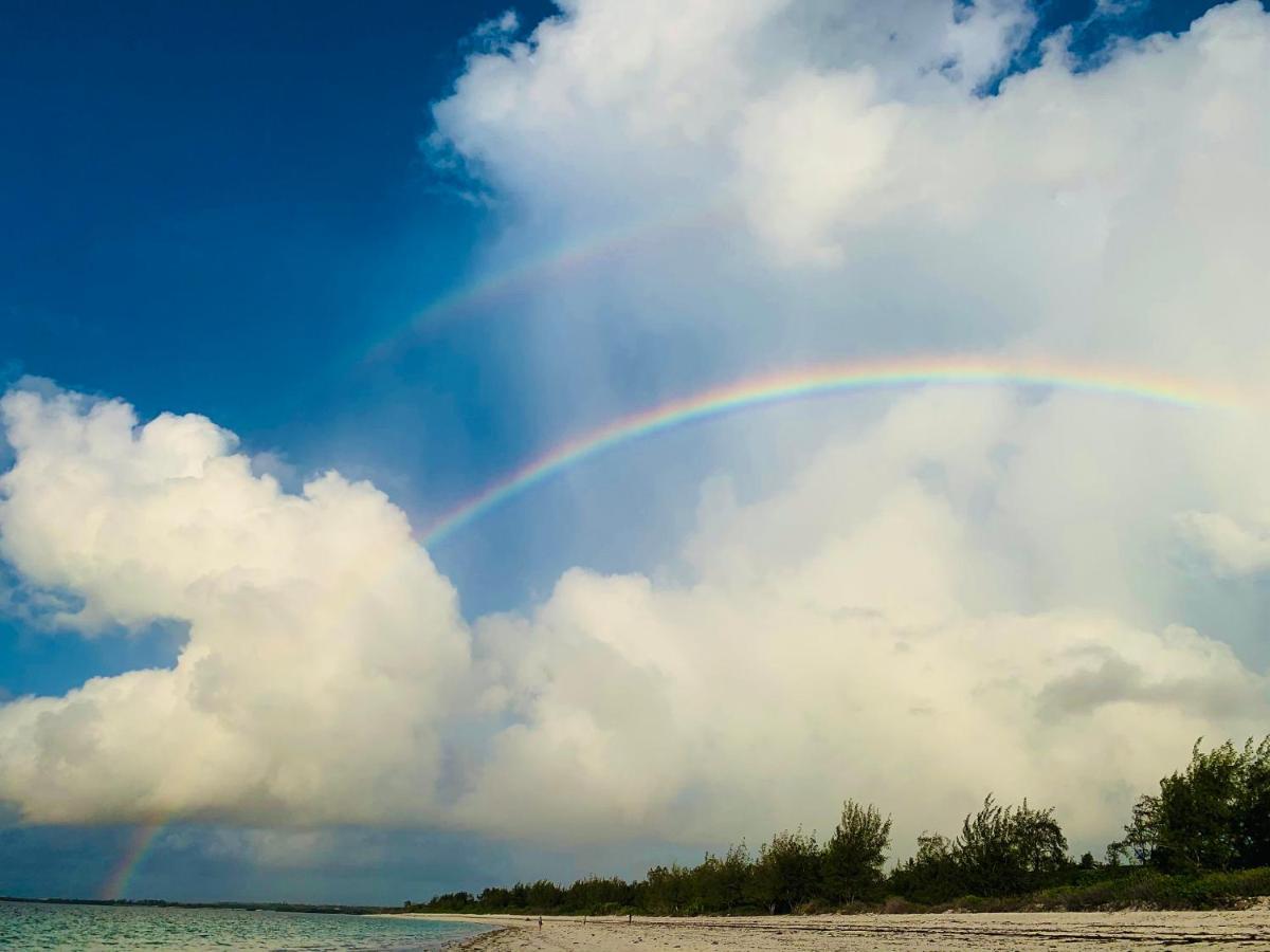 A Rocha Eco-Lodge & Conservation Centre Watamu Dış mekan fotoğraf