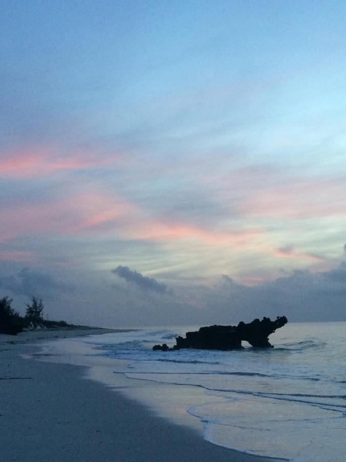 A Rocha Eco-Lodge & Conservation Centre Watamu Dış mekan fotoğraf