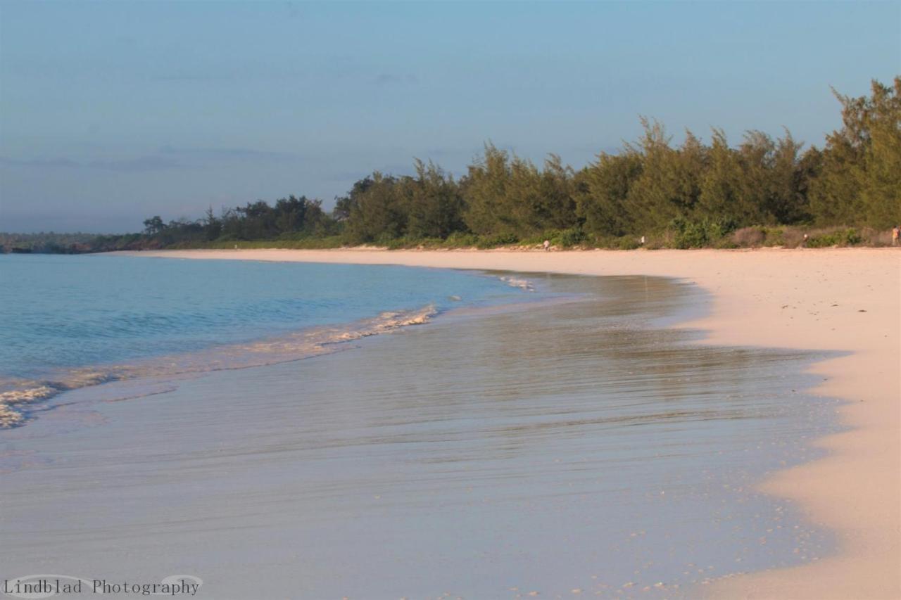 A Rocha Eco-Lodge & Conservation Centre Watamu Dış mekan fotoğraf